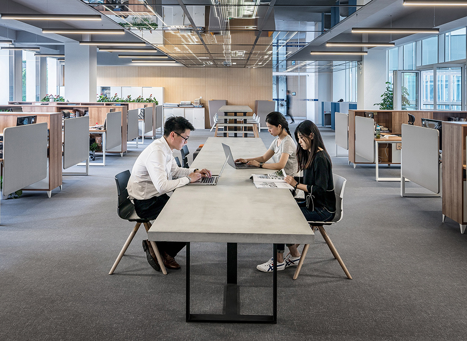 �ò�����(�й�)���޹�˾����