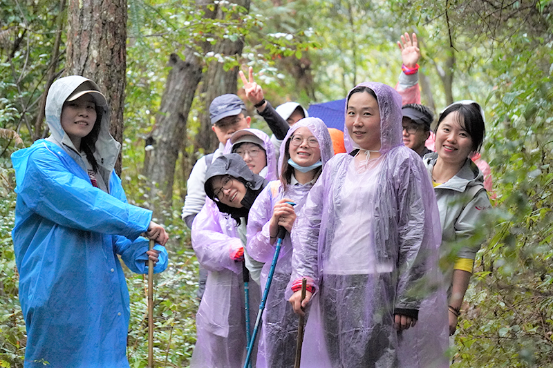 �ò�����(�й�)���޹�˾����