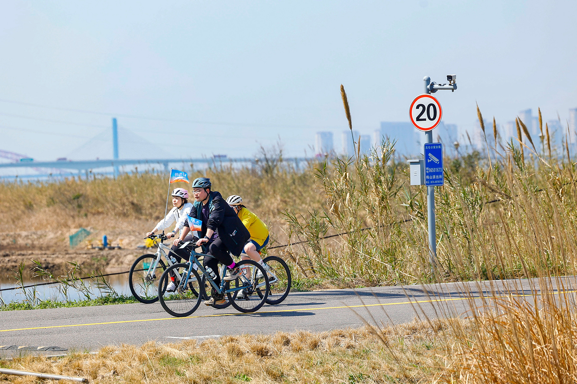 �ò���������