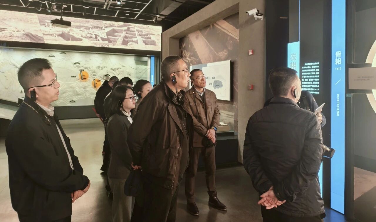 �ò���������