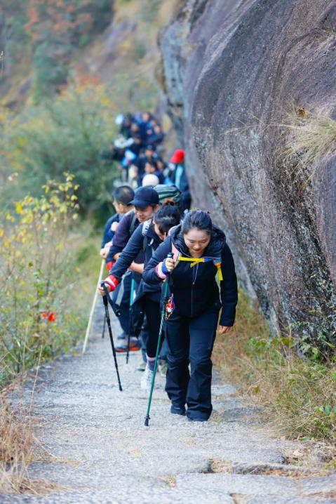 �ò���������